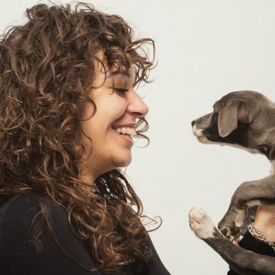 Duofantastico Whippet 2026 19