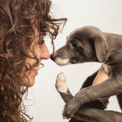 Duofantastico Whippet 2026 20